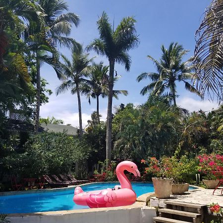 Cabarete Surf Camp Hotel Exterior photo