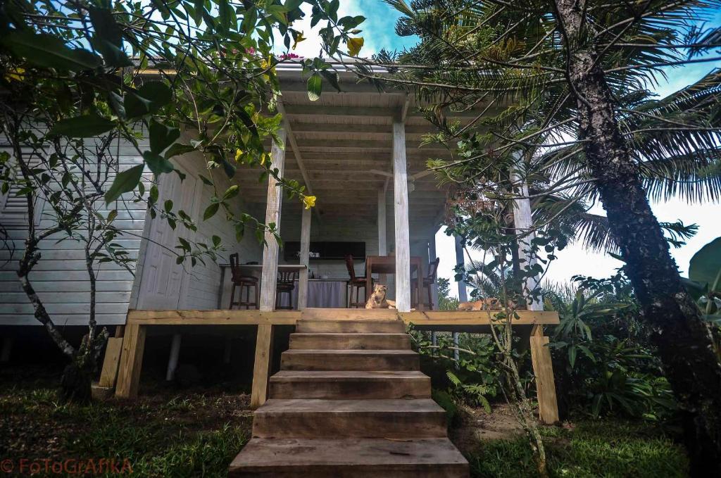 Cabarete Surf Camp Hotel Exterior photo