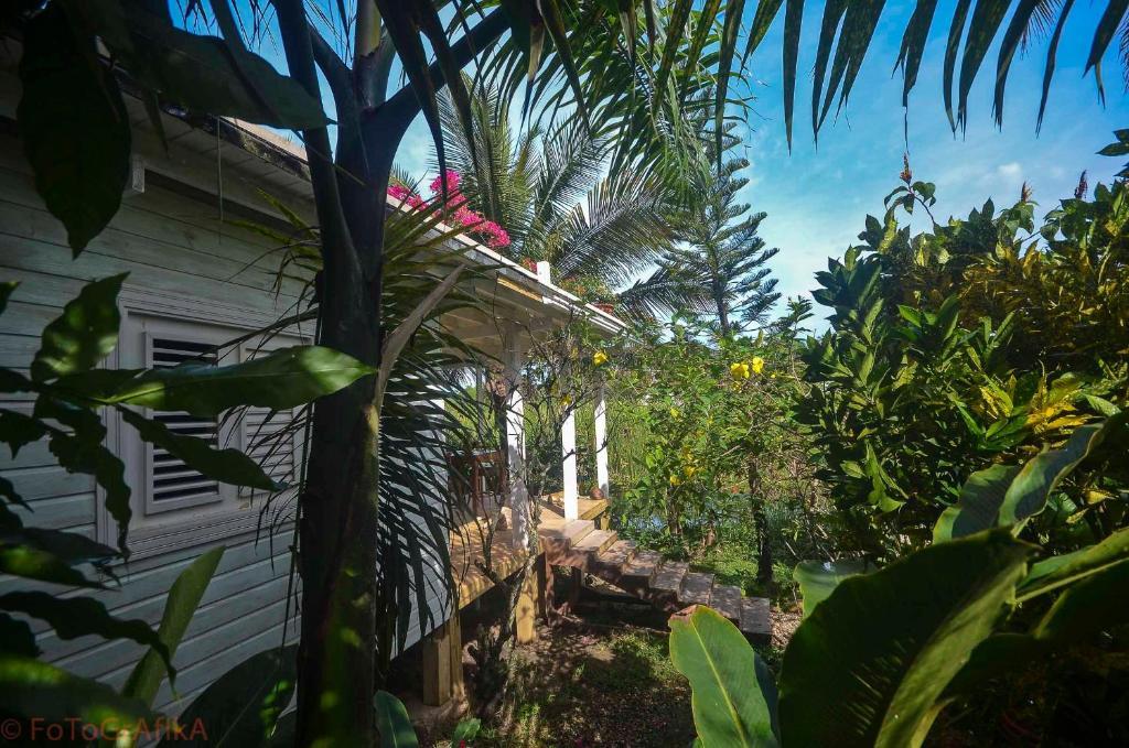 Cabarete Surf Camp Hotel Exterior photo