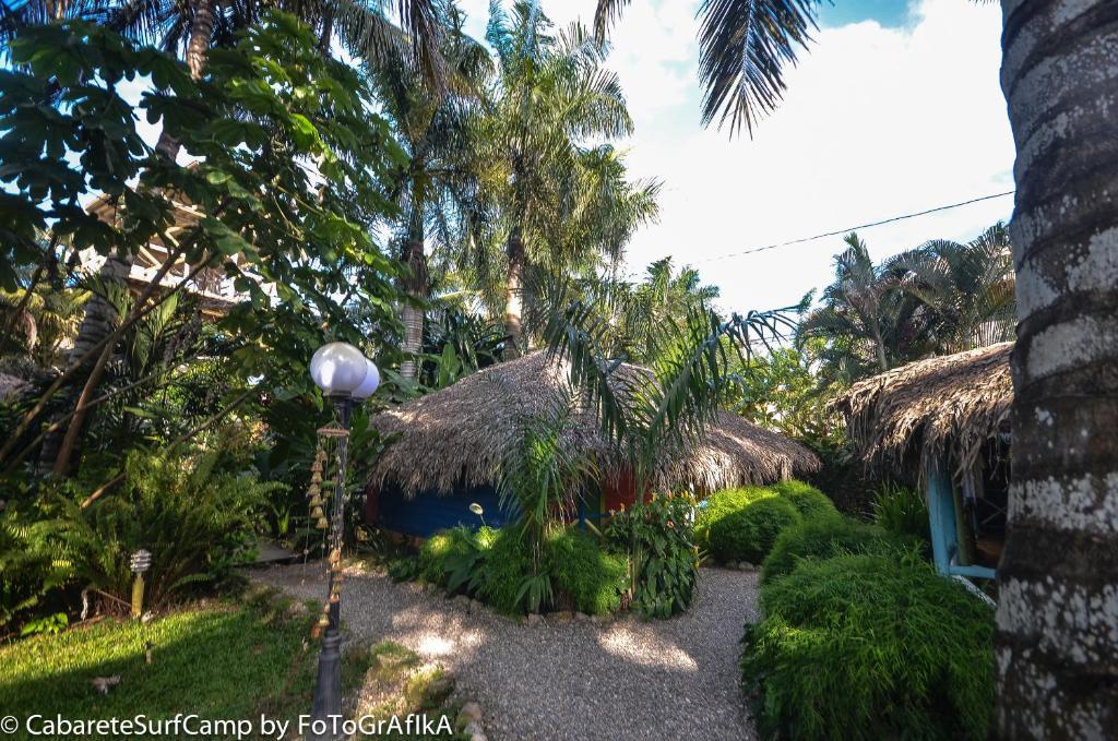 Cabarete Surf Camp Hotel Exterior photo