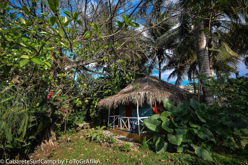 Cabarete Surf Camp Hotel Exterior photo
