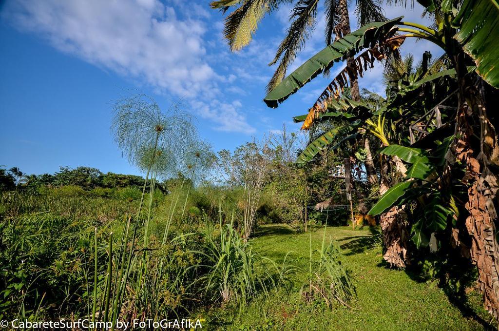 Cabarete Surf Camp Hotel Exterior photo