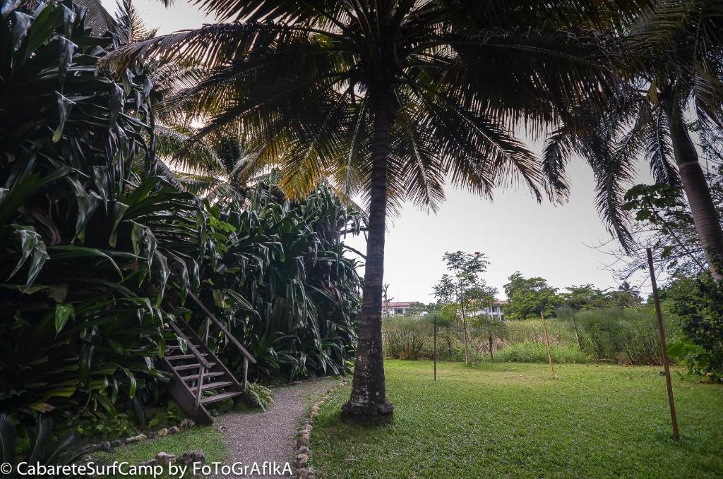 Cabarete Surf Camp Hotel Exterior photo