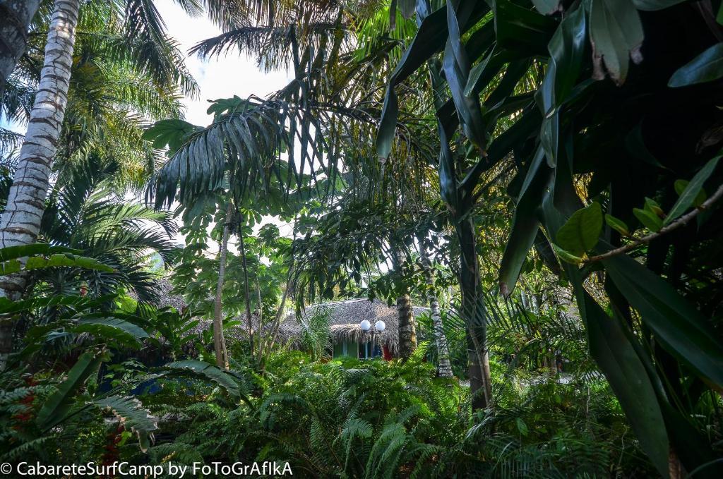 Cabarete Surf Camp Hotel Exterior photo