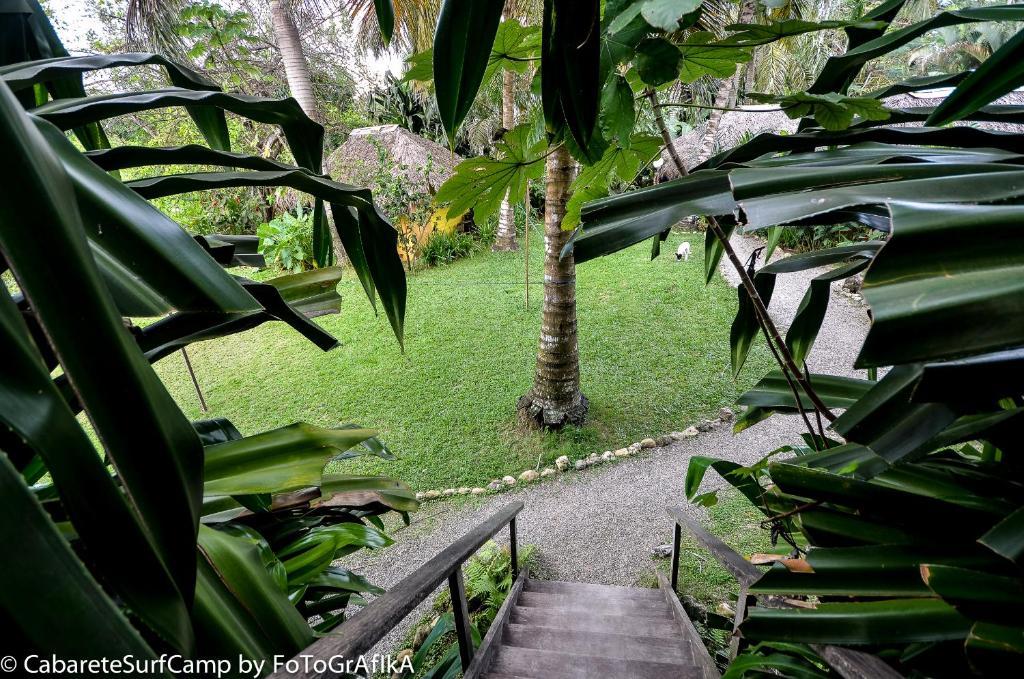 Cabarete Surf Camp Hotel Exterior photo