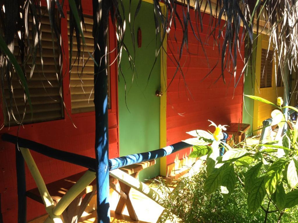 Cabarete Surf Camp Hotel Exterior photo