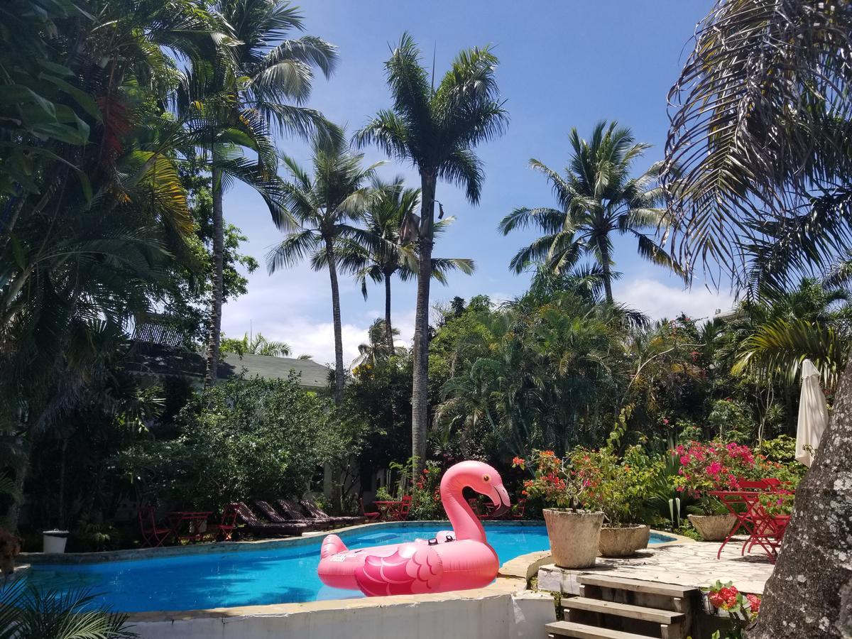 Cabarete Surf Camp Hotel Exterior photo