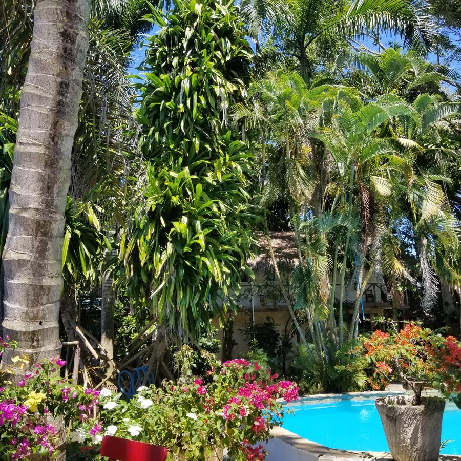 Cabarete Surf Camp Hotel Exterior photo